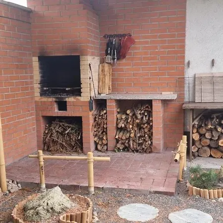 Bolek